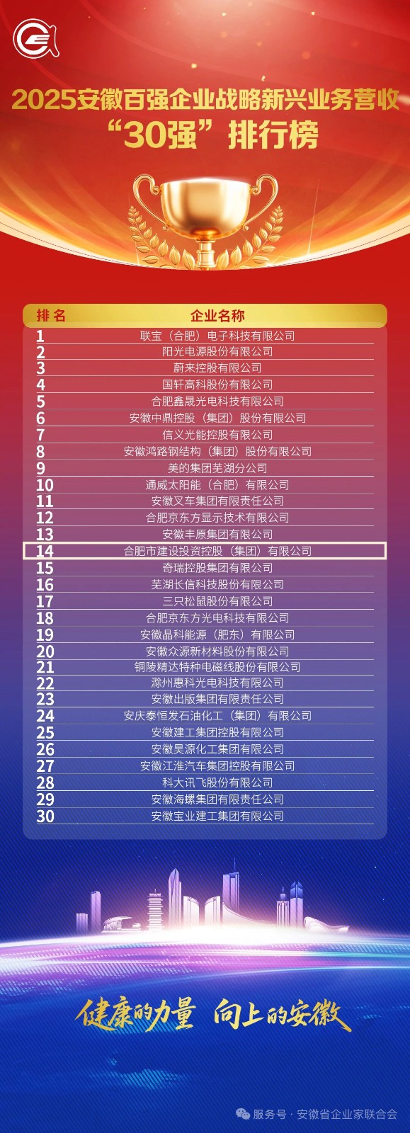 3.2025安徽百强企业战略新兴营业营收30强