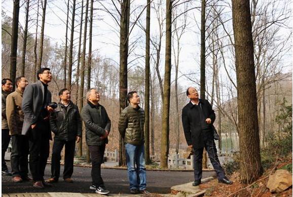 尊龙新版人生就是博!(中国)官方网站