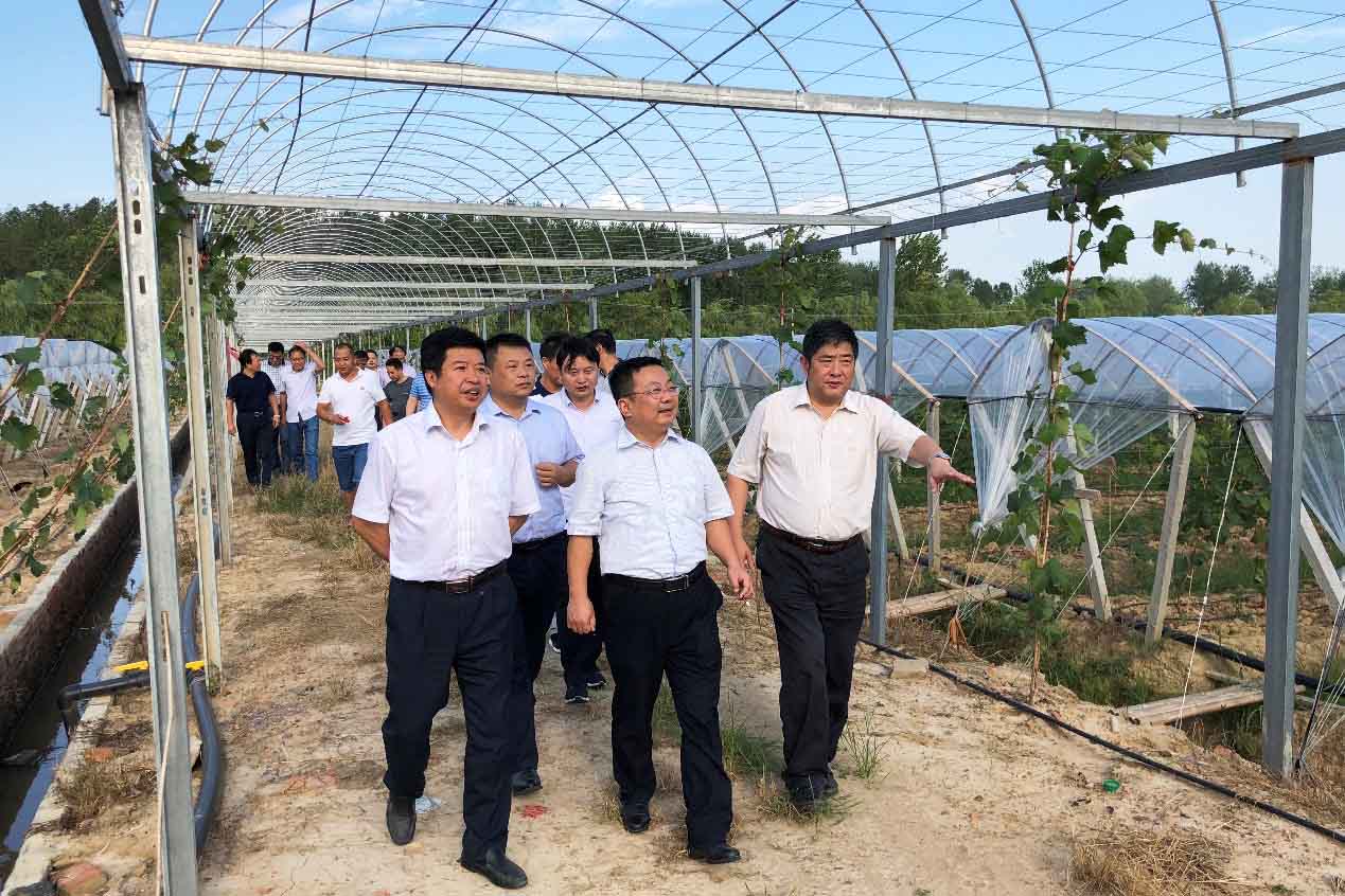 尊龙新版人生就是博!(中国)官方网站