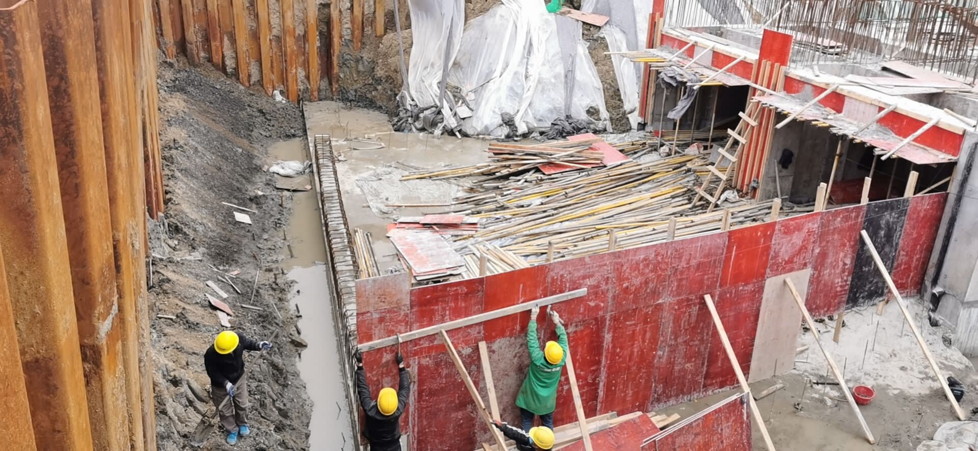 尊龙新版人生就是博!(中国)官方网站