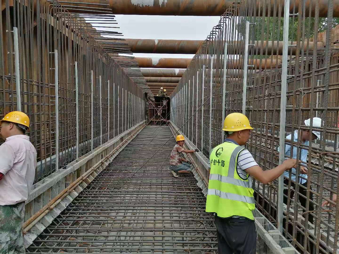 尊龙新版人生就是博!(中国)官方网站