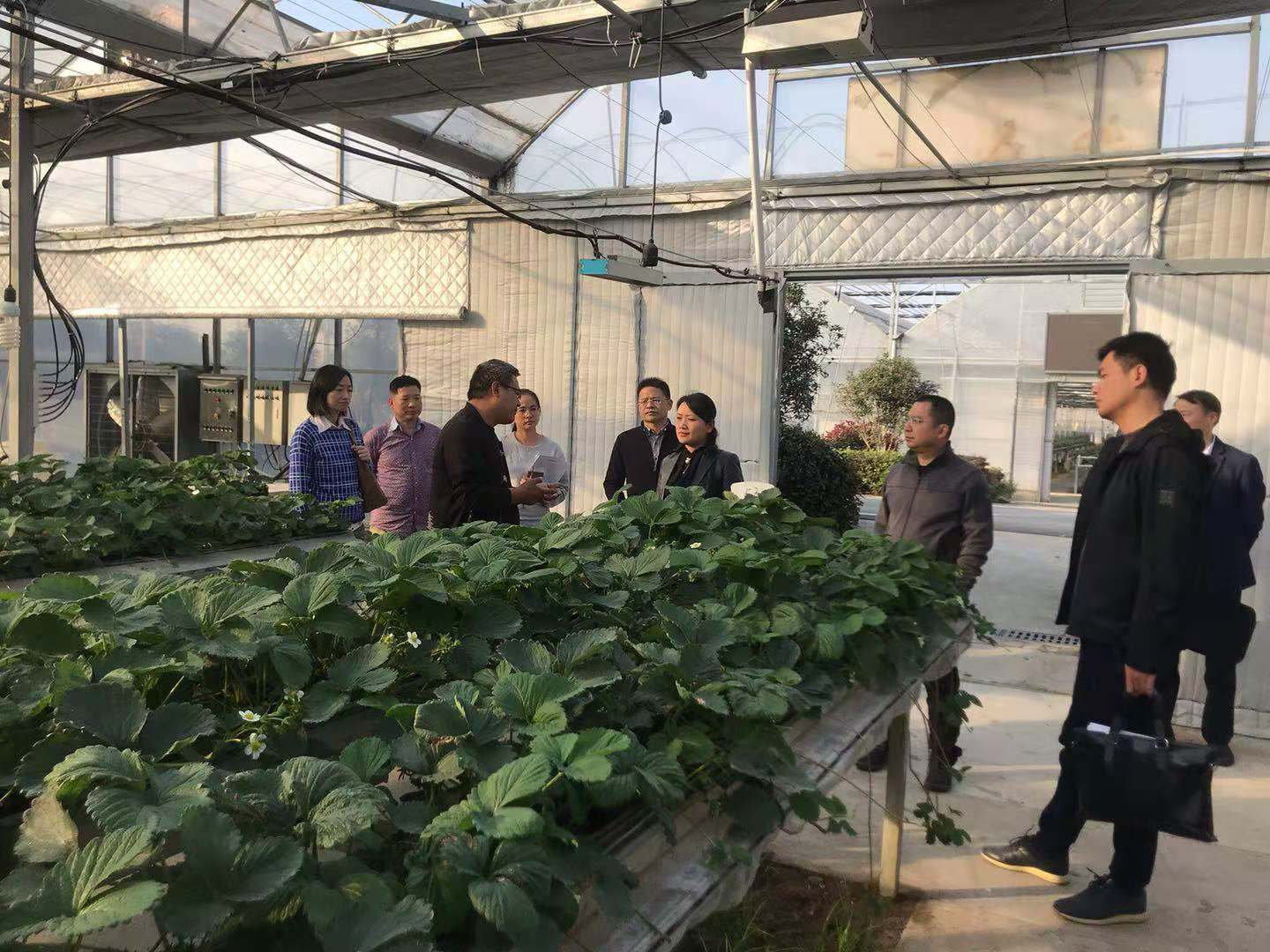 尊龙新版人生就是博!(中国)官方网站