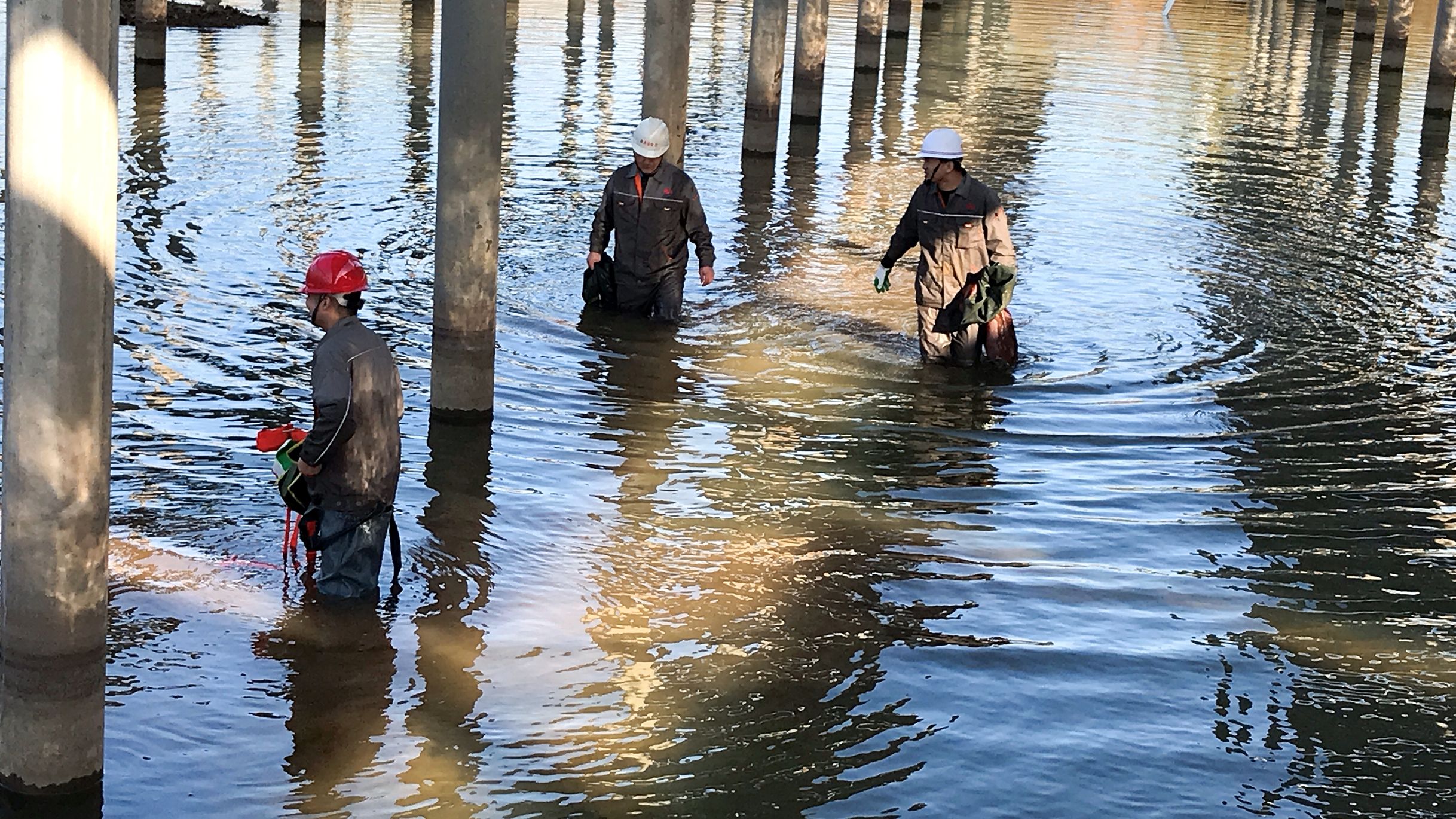 尊龙新版人生就是博!(中国)官方网站