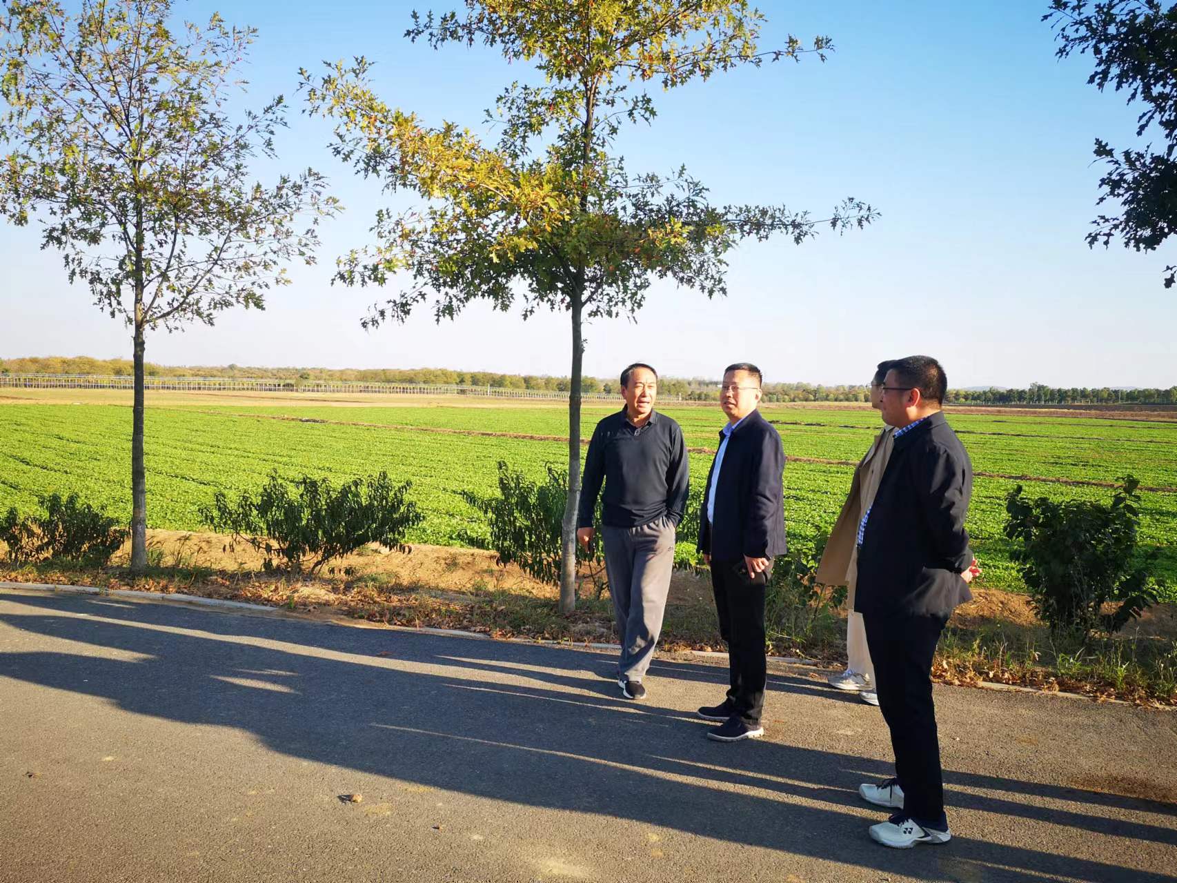 尊龙新版人生就是博!(中国)官方网站