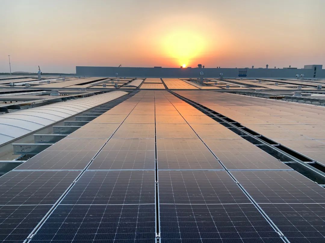 尊龙新版人生就是博!(中国)官方网站