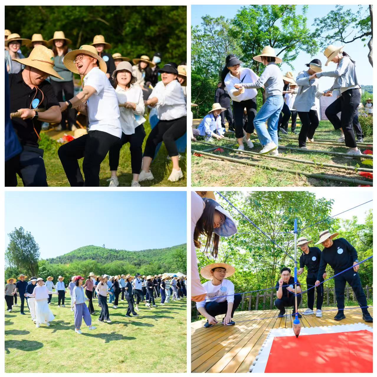 尊龙新版人生就是博!(中国)官方网站